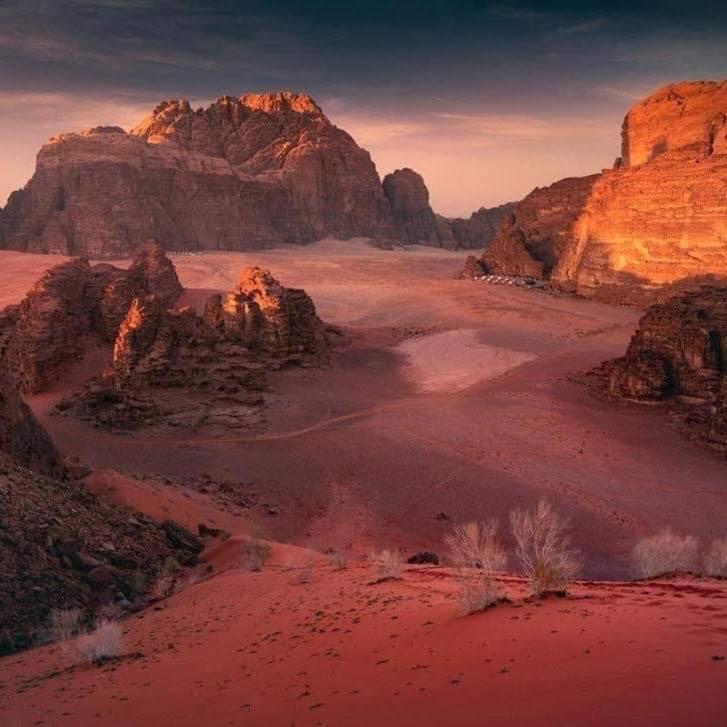 WADI RUM-Bedouin Tents&Jeep Tours Buitenkant foto