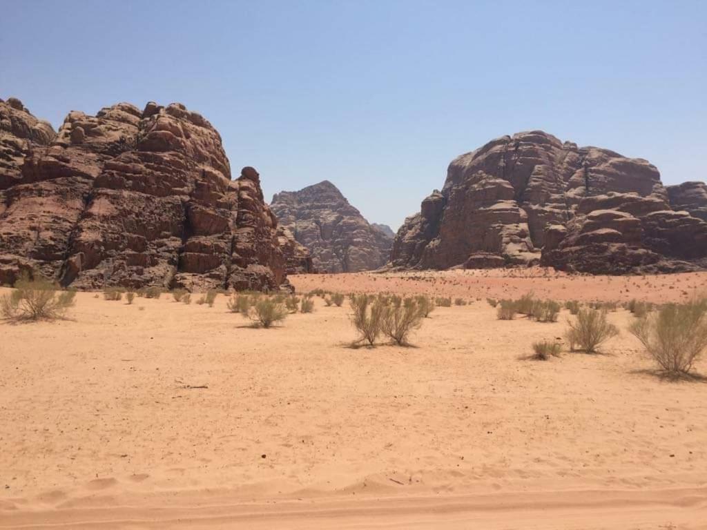 WADI RUM-Bedouin Tents&Jeep Tours Buitenkant foto