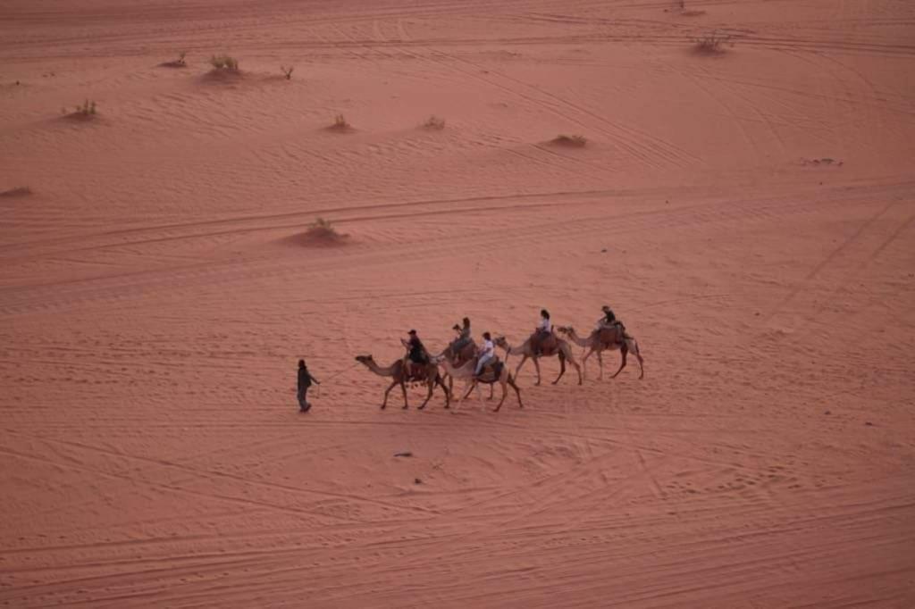 WADI RUM-Bedouin Tents&Jeep Tours Buitenkant foto