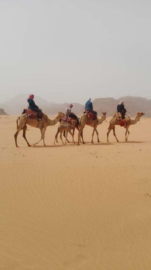 WADI RUM-Bedouin Tents&Jeep Tours Buitenkant foto